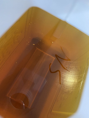 抗靜電劑 抗靜電劑