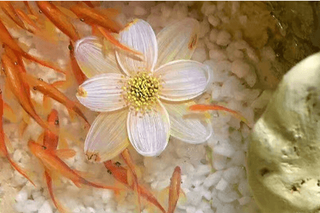 樹脂畫，滲透劑