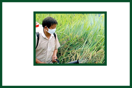 農藥乳化劑作用 農藥乳化劑作用