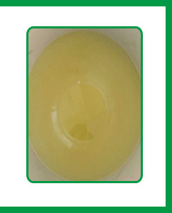 乳化劑EL40的外觀及狀態